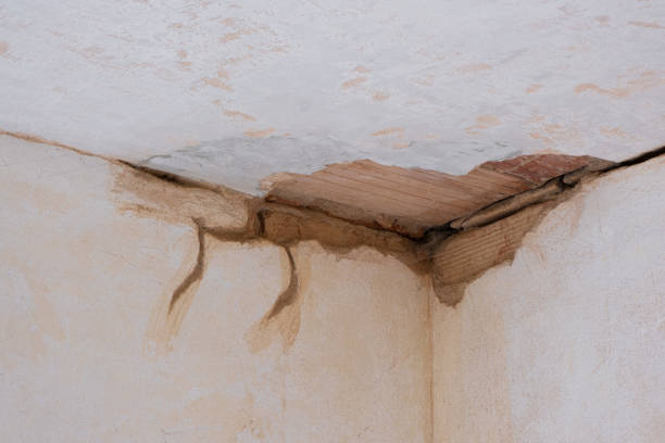  , USA Water damage restoration Pros